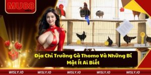 Địa Chỉ Trường Gà Thomo Và Những Bí Mật Ít Ai Biết