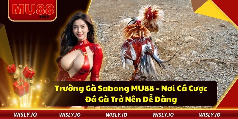 Trường Gà Sabong MU88 – Nơi Cá Cược Đá Gà Trở Nên Dễ Dàng Trường Gà Sabong MU88 – Nơi Cá Cược Đá Gà Trở Nên Dễ Dàng